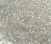 50g 6/0 Silver Lined Matte Crystal Iris